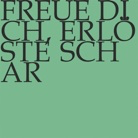 DVD-Cover, Titeltext auf grünem Hintergrund